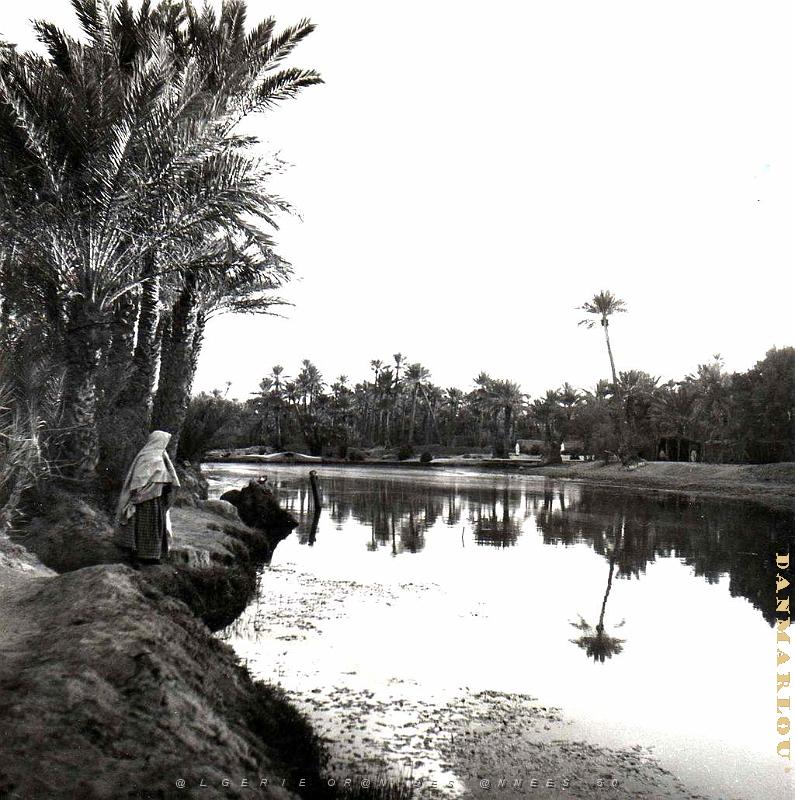 Colomb Bechar 041-collection Monneret.jpg